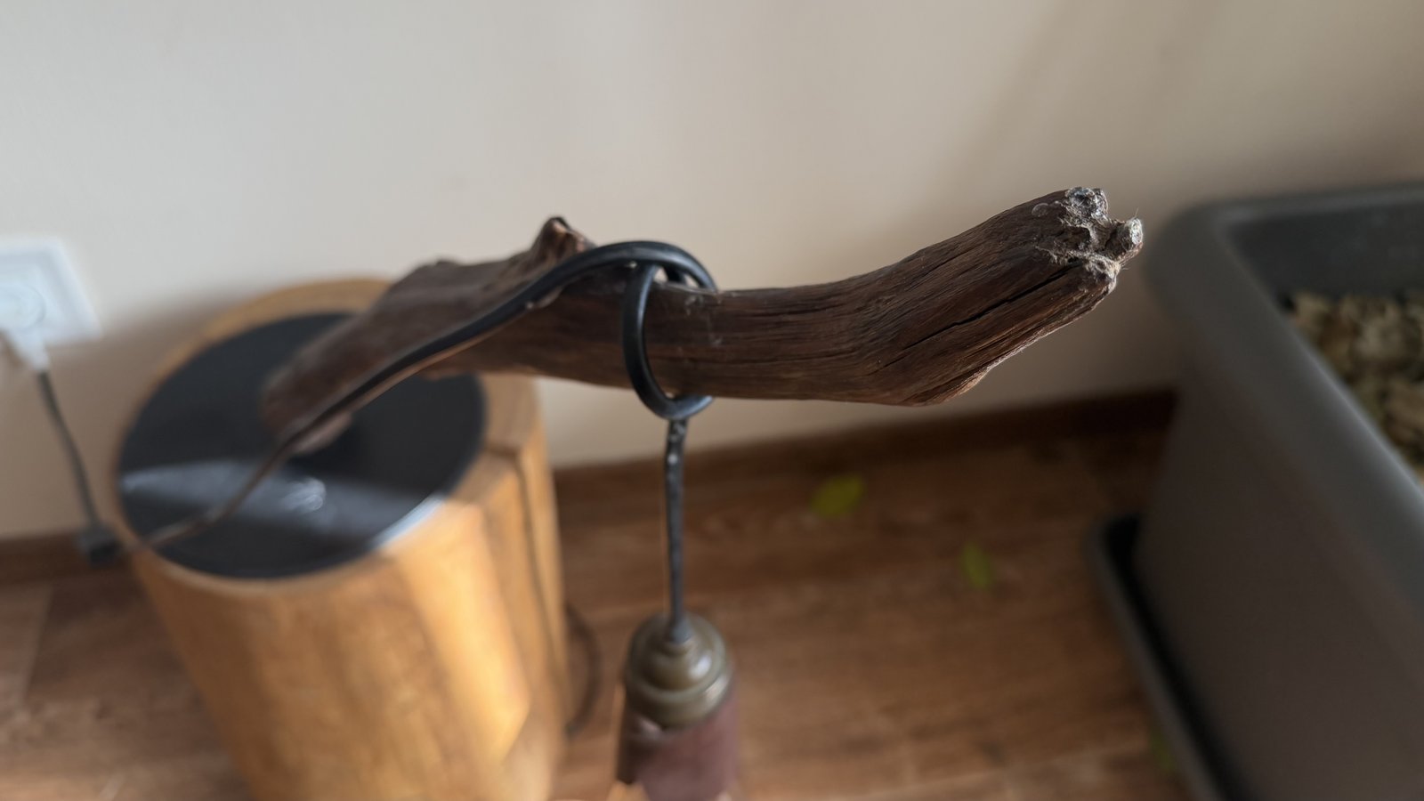 Branch and iron ring detail